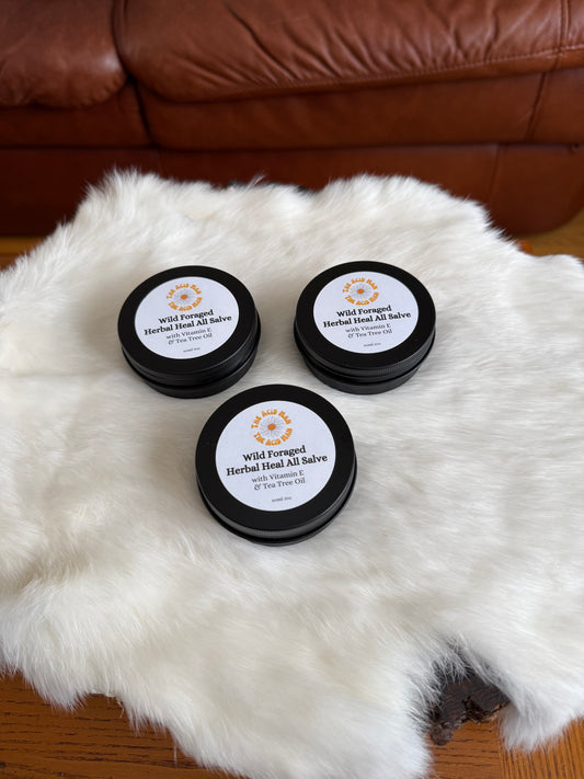 Wild Foraged Herbal Heal All Salve