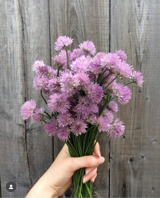 Garden Grown Chives